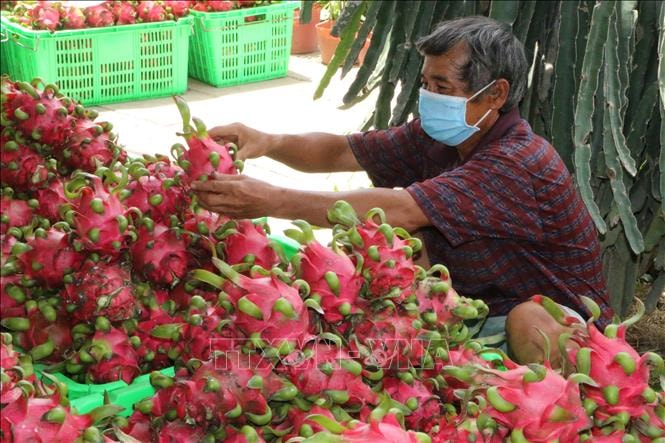 thanh long bi danh bat ra khoi cau lac bo ty usd rat lau moi co the lay lai duoc phong do hinh 2
