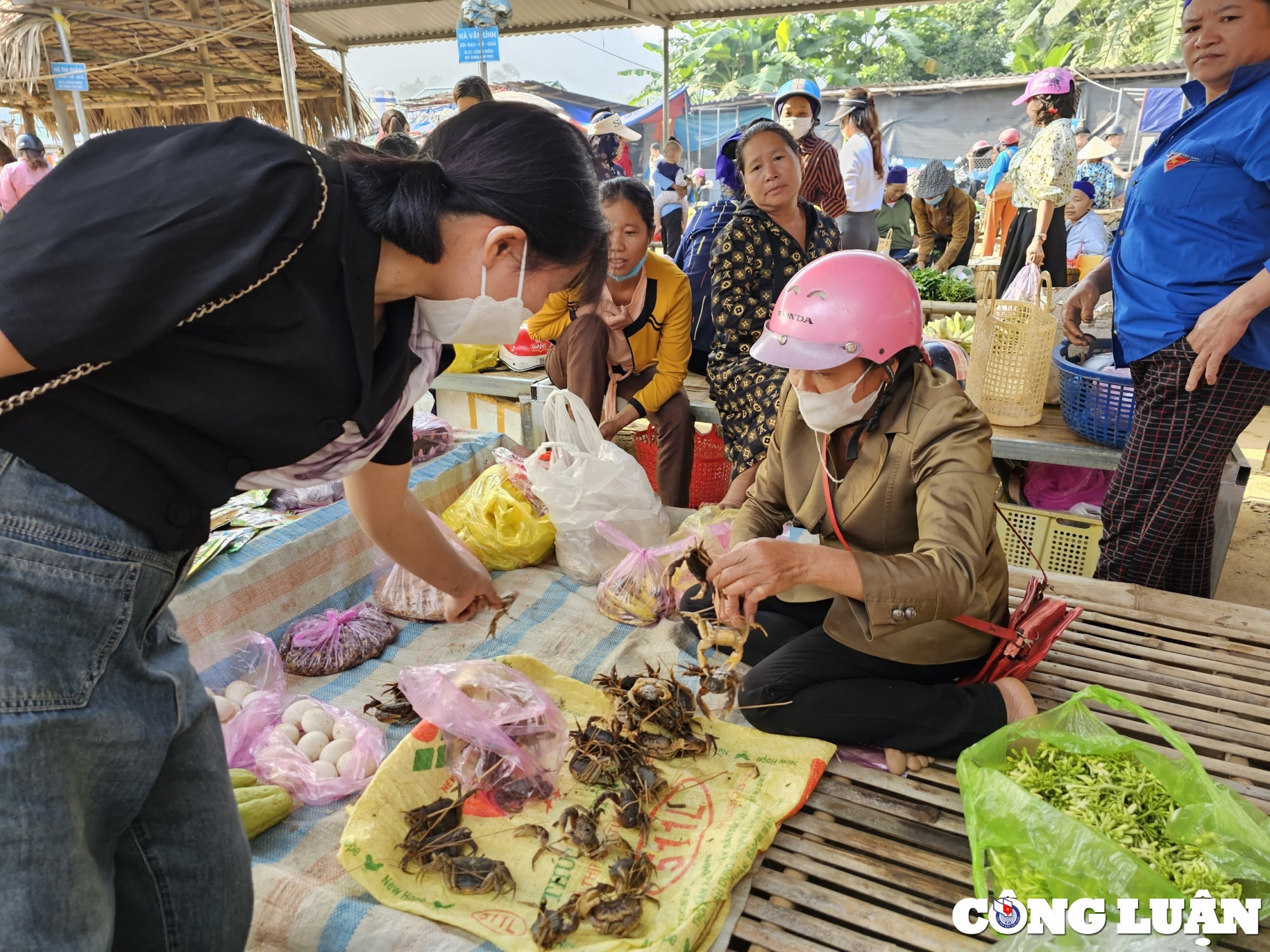 net doc dao hap dan tai cho phien pho doan hinh 11