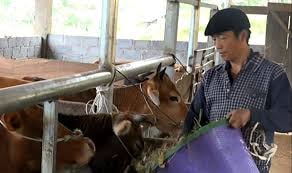 nguon von tu chuong trinh mtqg phat trien kt xh giup nguoi dan lac nong thoat ngheo hinh 1