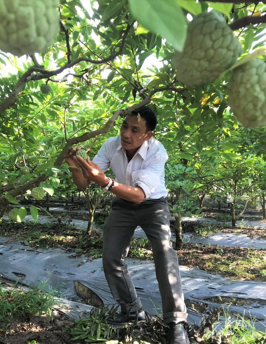 tham quan hoc tap giup nang cao kinh nghiem trong thuc hien chuong trinh 1719 hinh 3