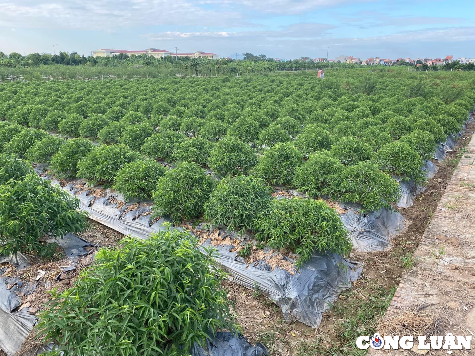 301 Moved Permanently