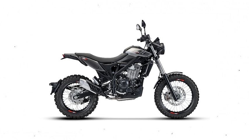 can canh beta alp x scrambler hinh 3