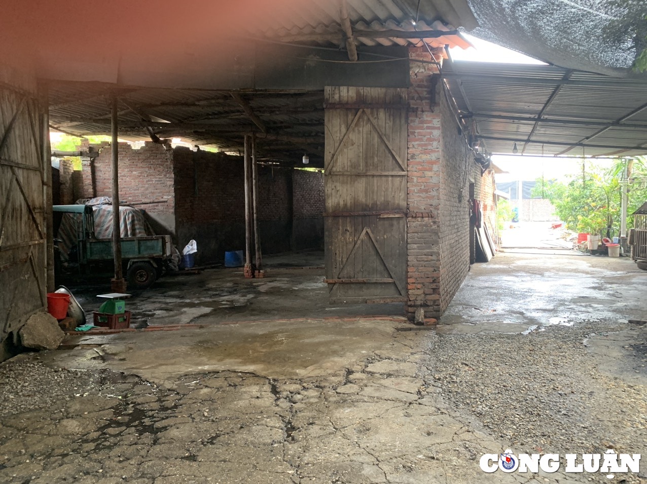 bac giang tam dung hoat dong co so muoi da trau bo sau phan anh cua bao nha bao va cong luan hinh 2