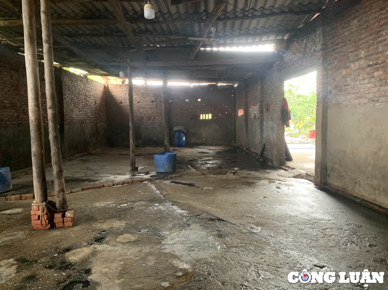 bac giang tam dung hoat dong co so muoi da trau bo sau phan anh cua bao nha bao va cong luan hinh 1