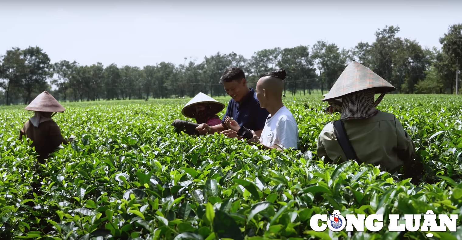 bien ho che diem tham quan doc dao va thu vi o gia lai hinh 3