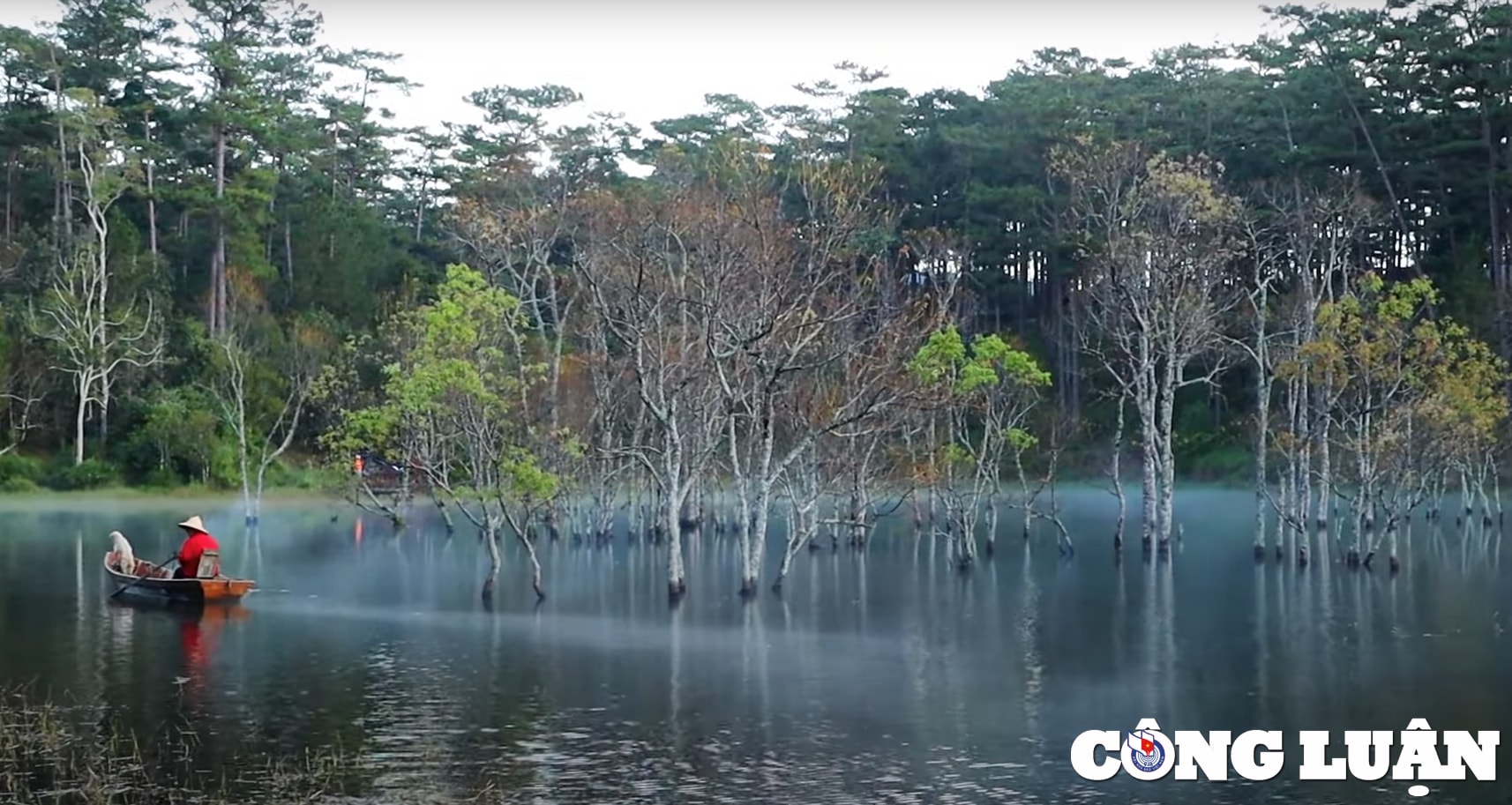 suoi tia coi thien thai giua long da lat hinh 1
