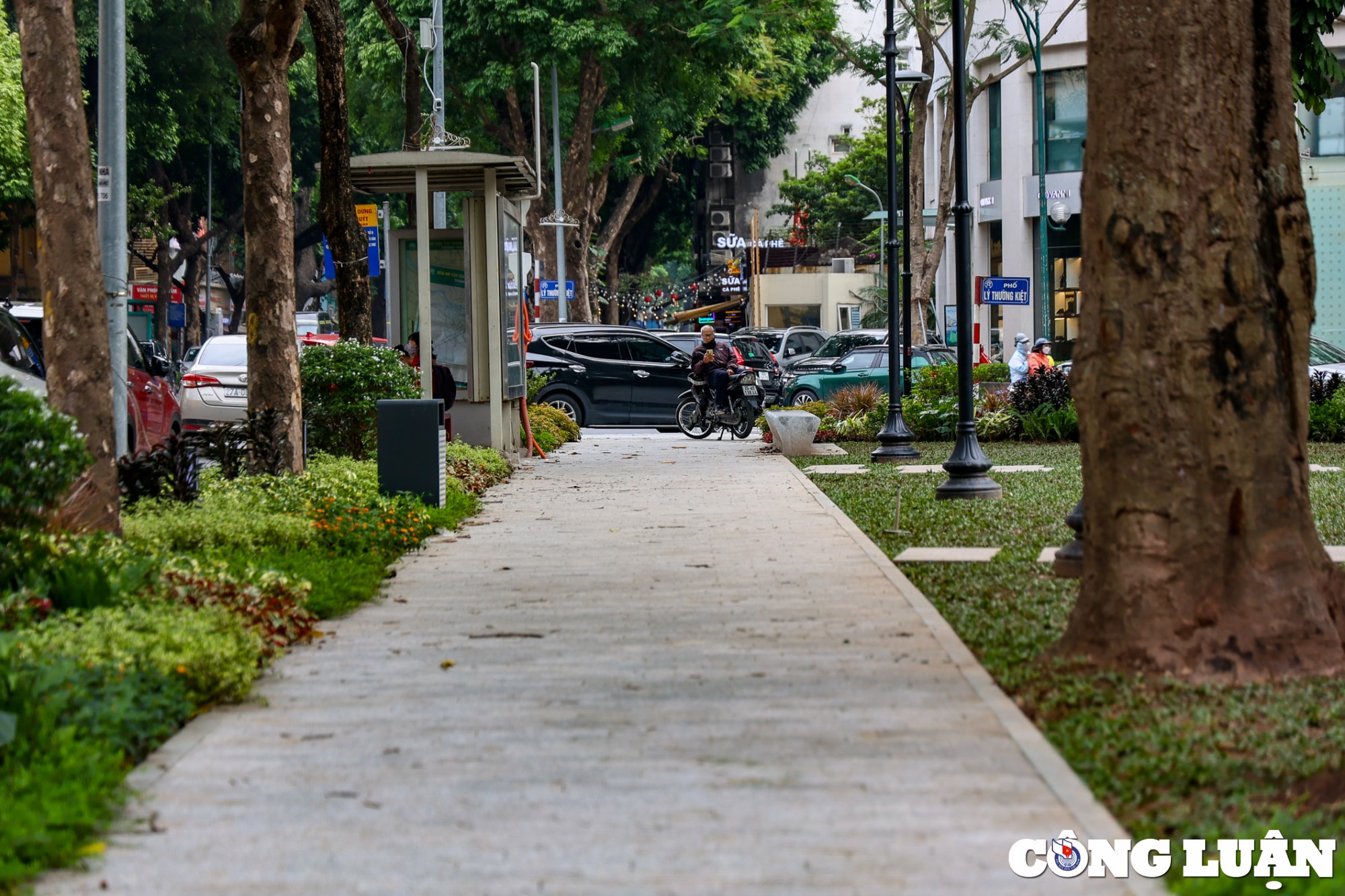 khong gian ben trong vuon hoa tao dan ha noi sau khi cai tao hinh 11