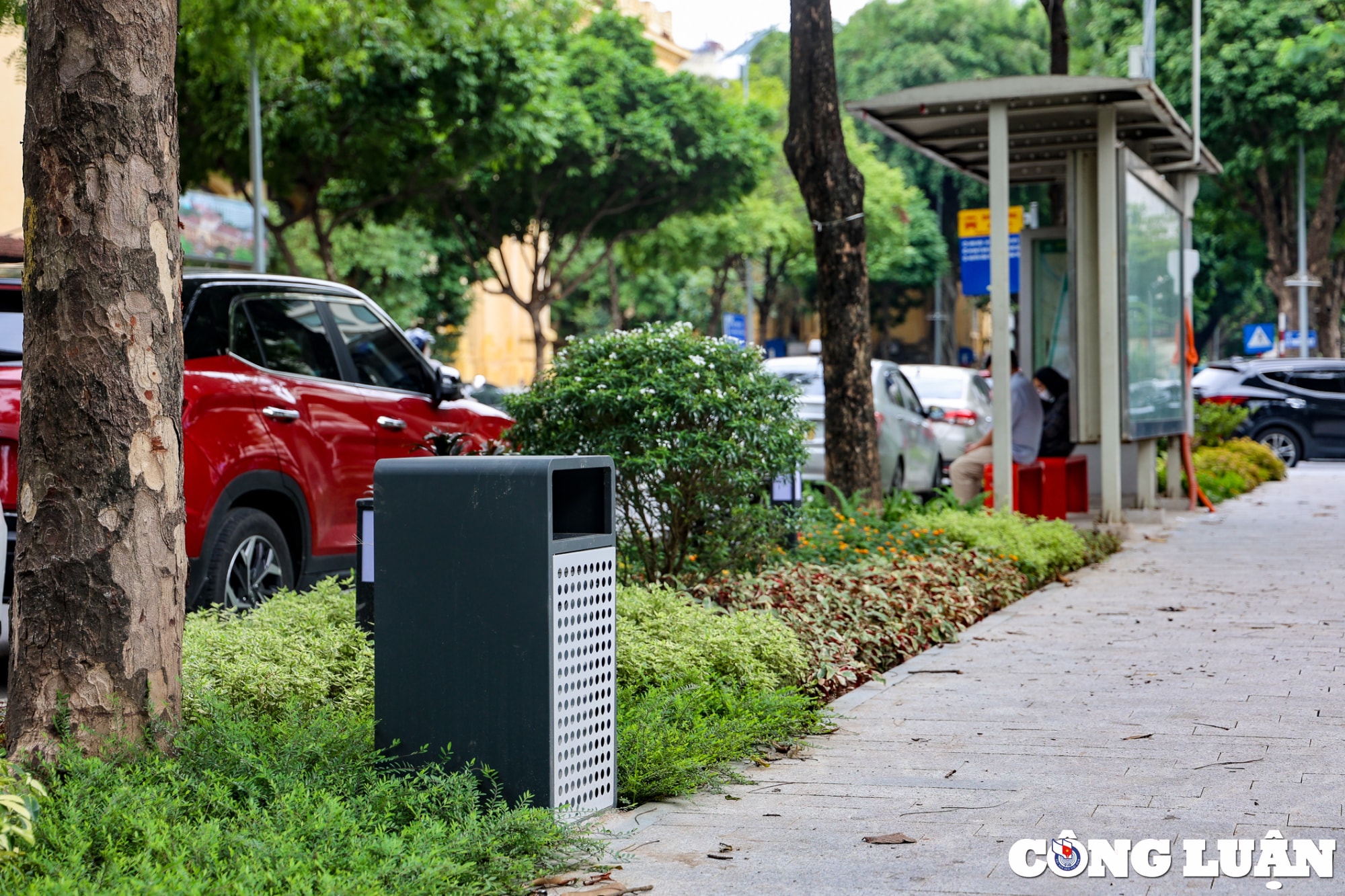khong gian ben trong vuon hoa tao dan ha noi sau khi cai tao hinh 4