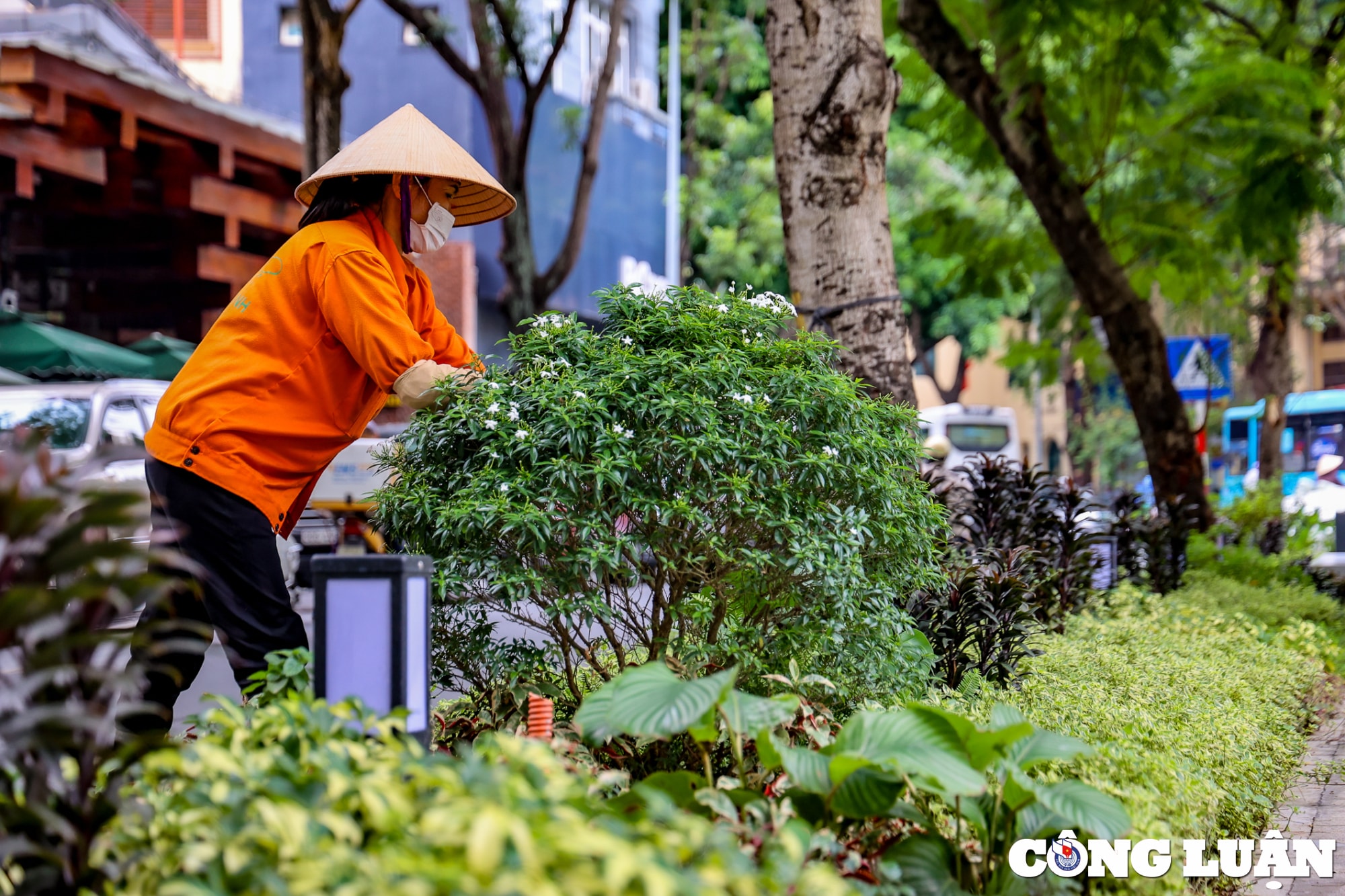 khong gian ben trong vuon hoa tao dan ha noi sau khi cai tao hinh 8