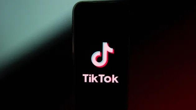 tiktok dau tu 15 ty usd vao hoat dong kinh doanh thuong mai dien tu cua goto o indonesia hinh 1