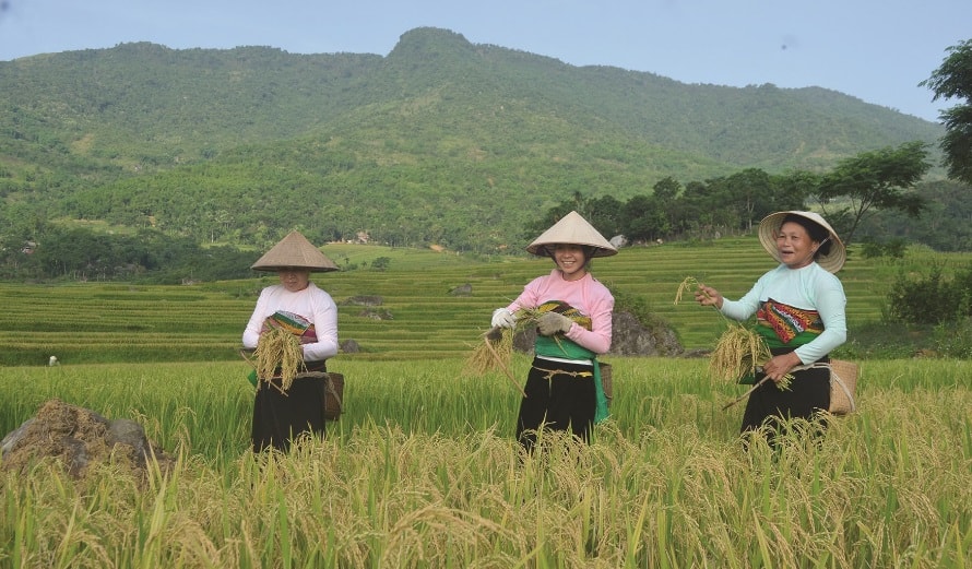 hon 14000 ho gia dinh dan toc thieu so o thanh hoa thieu dat san xuat hinh 1