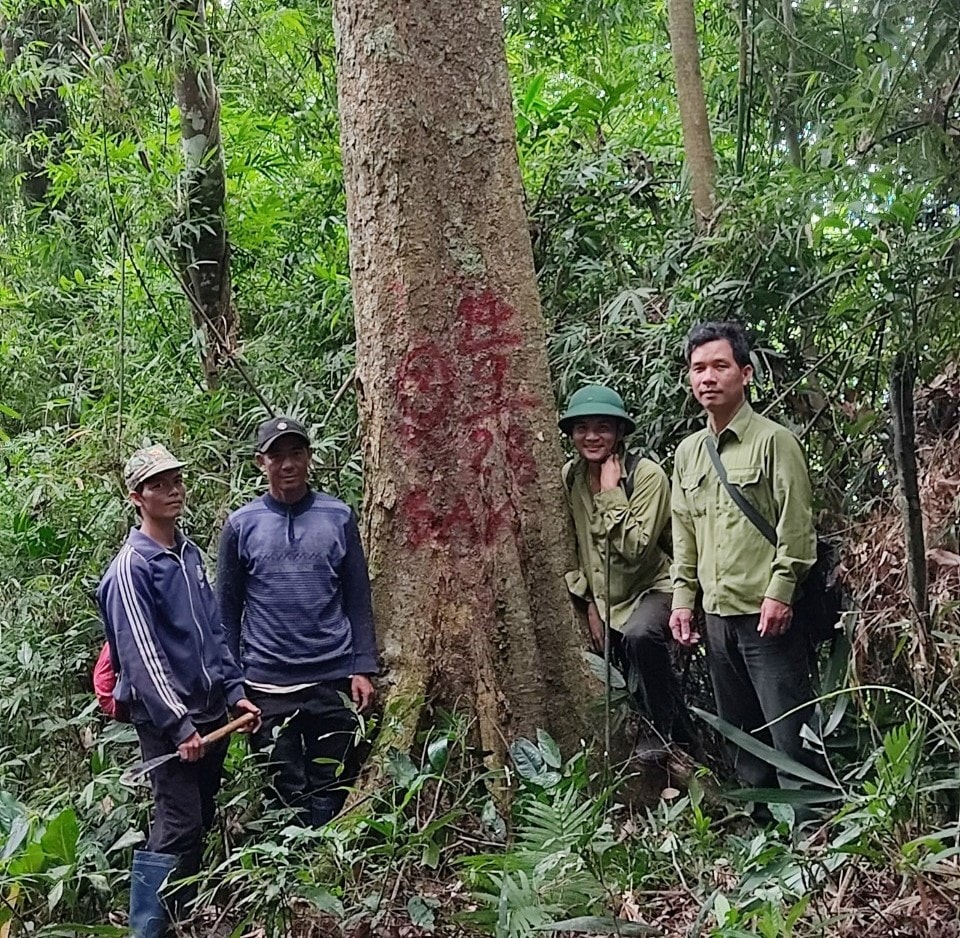 gia lai loi ich kep tu viec giao khoan bao ve rung vung dong bao it nguoi hinh 1