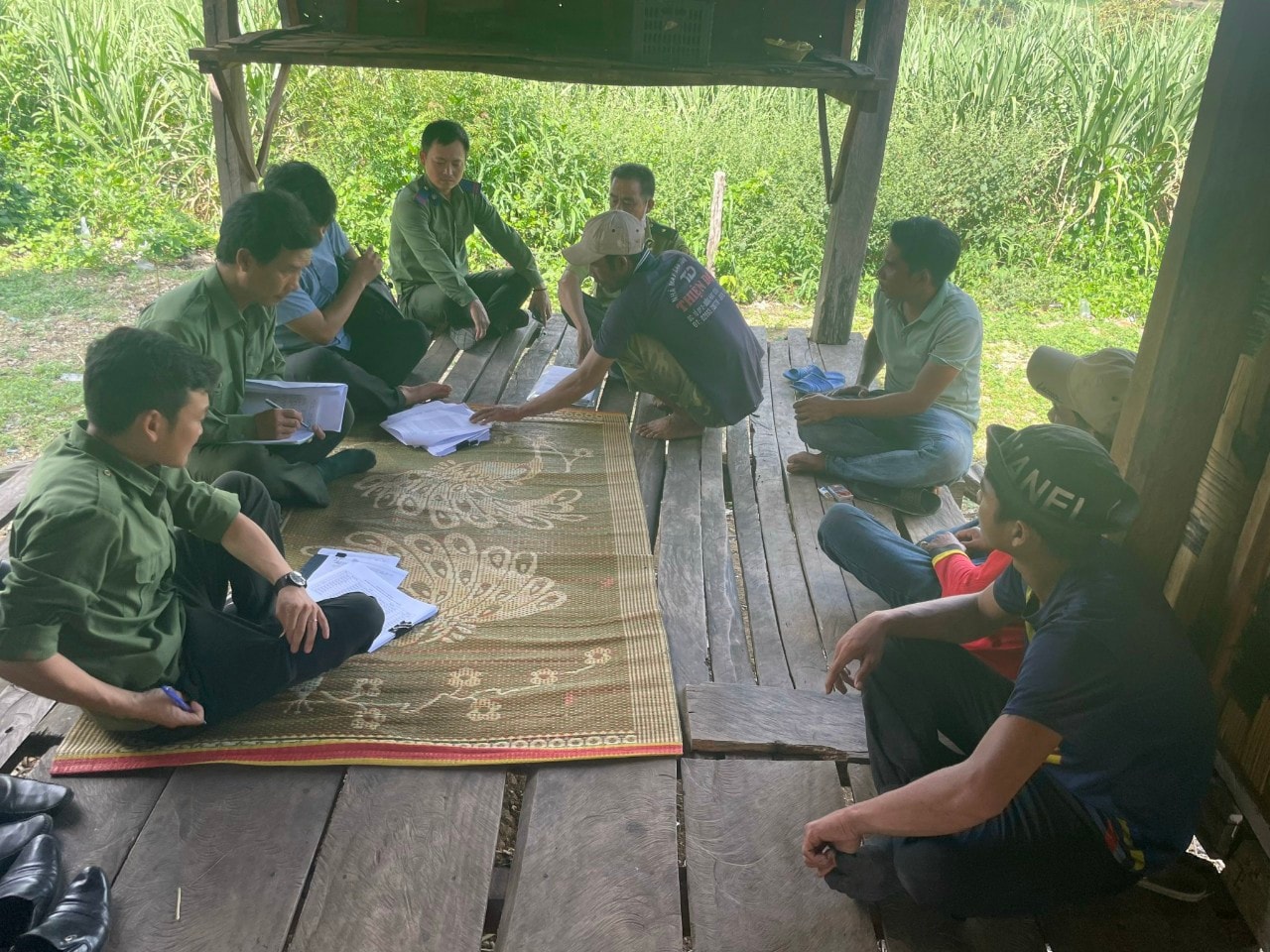 gia lai loi ich kep tu viec giao khoan bao ve rung vung dong bao it nguoi hinh 3