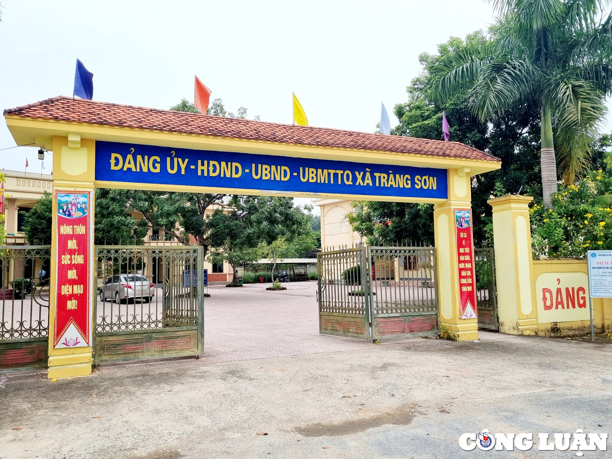 ubnd tinh nghe an yeu cau huyen do luong xu ly nghiem viec tu y xay dung nghia trang tren dat lam nghiep hinh 2