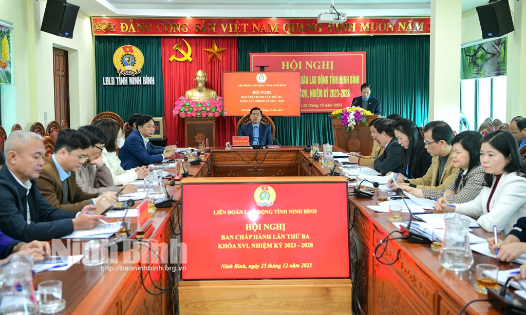 lien doan lao dong tinh ninh binh ket nap moi gan 8000 doan vien hinh 1