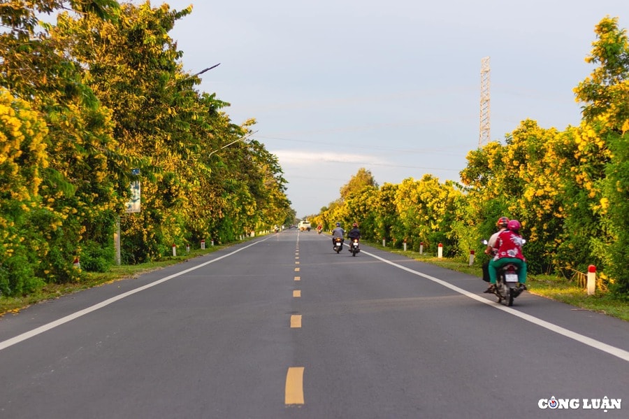 duong noi can tho vi thanh tuyen duong dep nhat mien tay nam bo hinh 1
