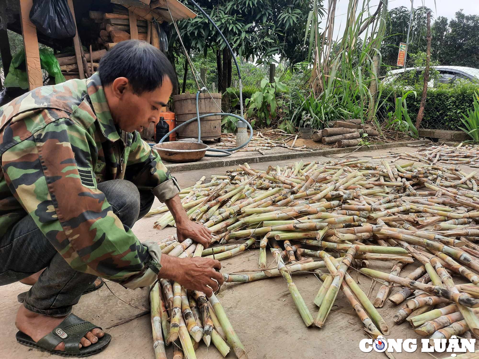 lang nghe mat mia truyen thong o ha tinh tat bat phuc vu tet nguyen dan hinh 8