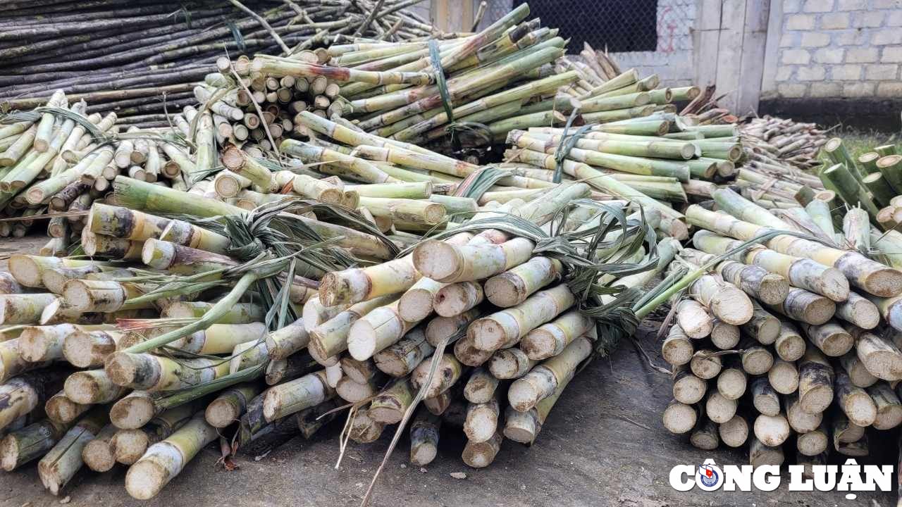 lang nghe mat mia truyen thong o ha tinh tat bat phuc vu tet nguyen dan hinh 7