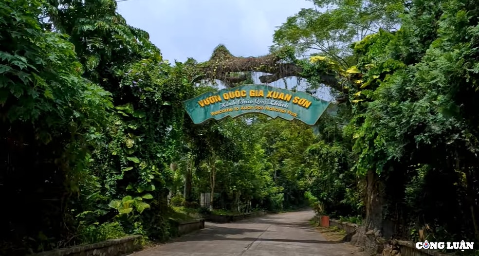 tan huong khong gian xanh kham pha he sinh thai doc dao tai vuon quoc gia xuan son hinh 1