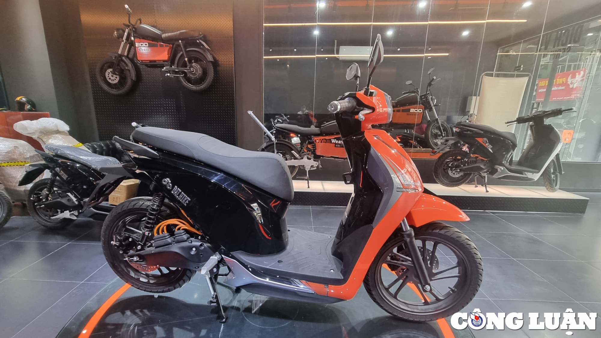 can canh xe may dien dat bike quantum hinh 7
