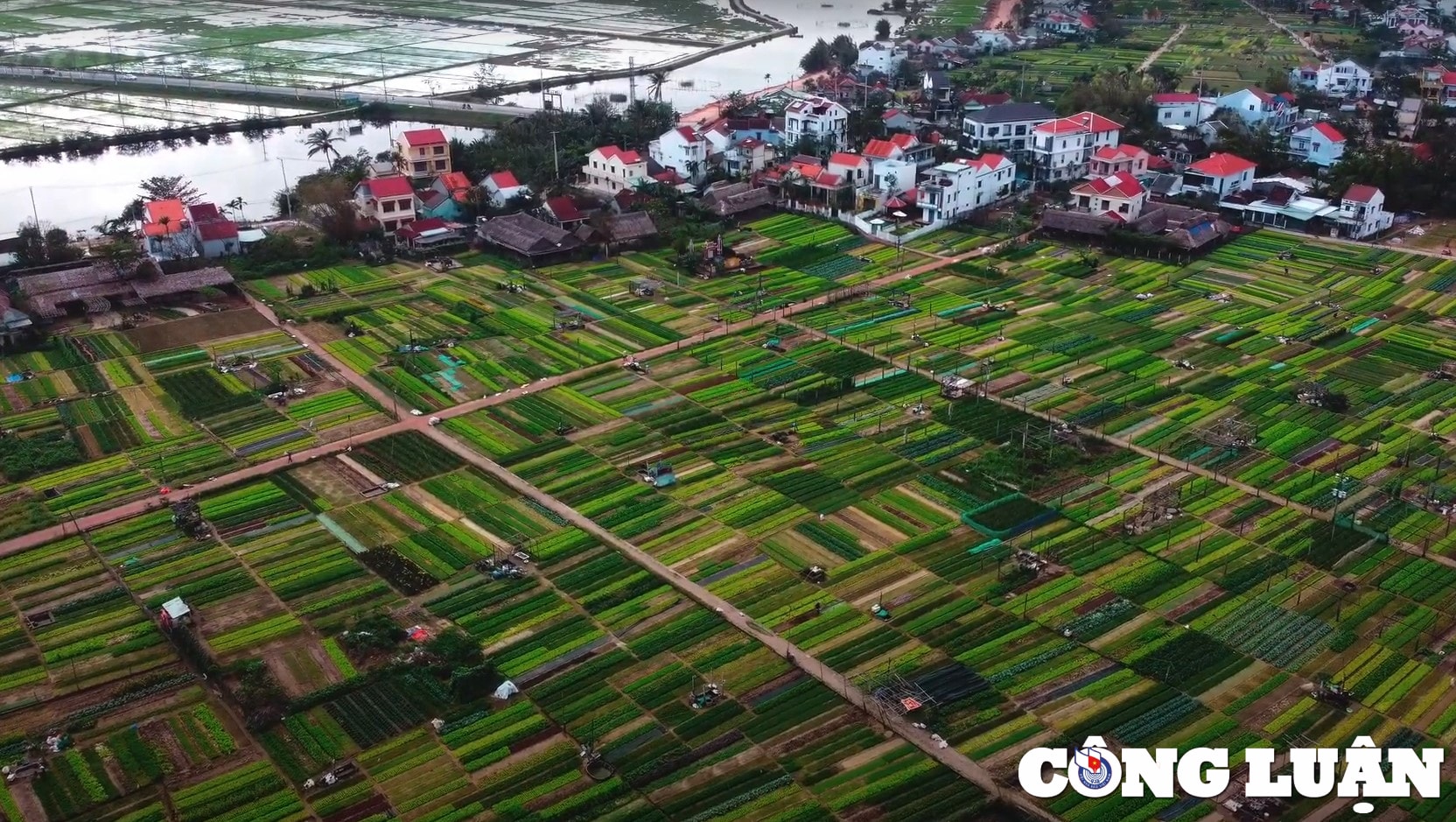 trai nghiem lam nong dan tai vuon rau tra que hoi an hinh 1