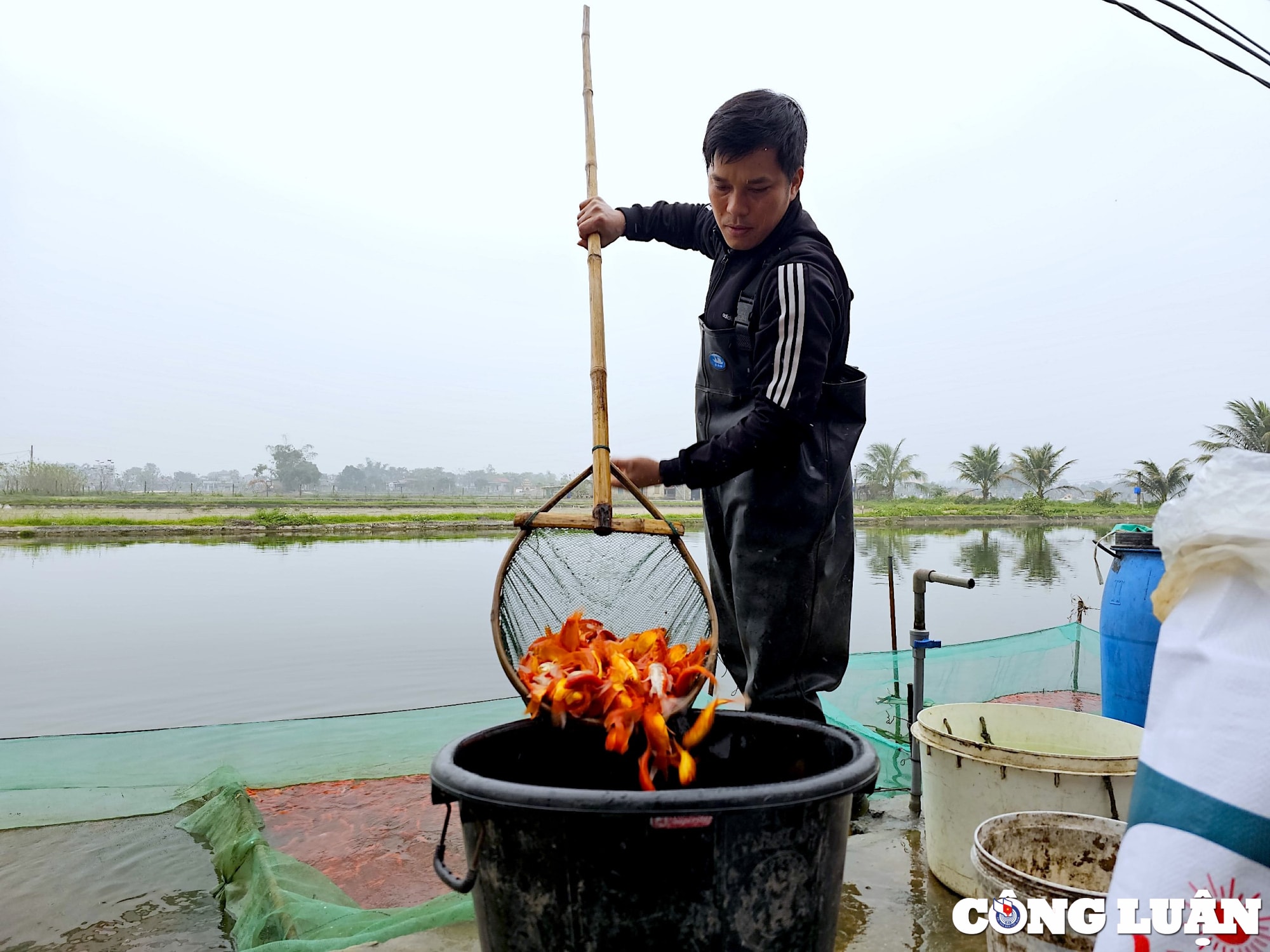 lang ca ong cong ong tao tan co chuan bi phuc vu tet 2024 hinh 2
