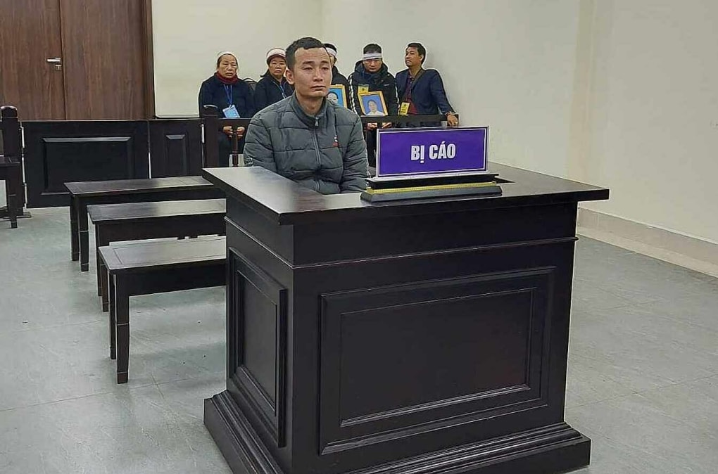 an tu hinh cho dua chau trai ra tay giet ba noi va co ruot hinh 1