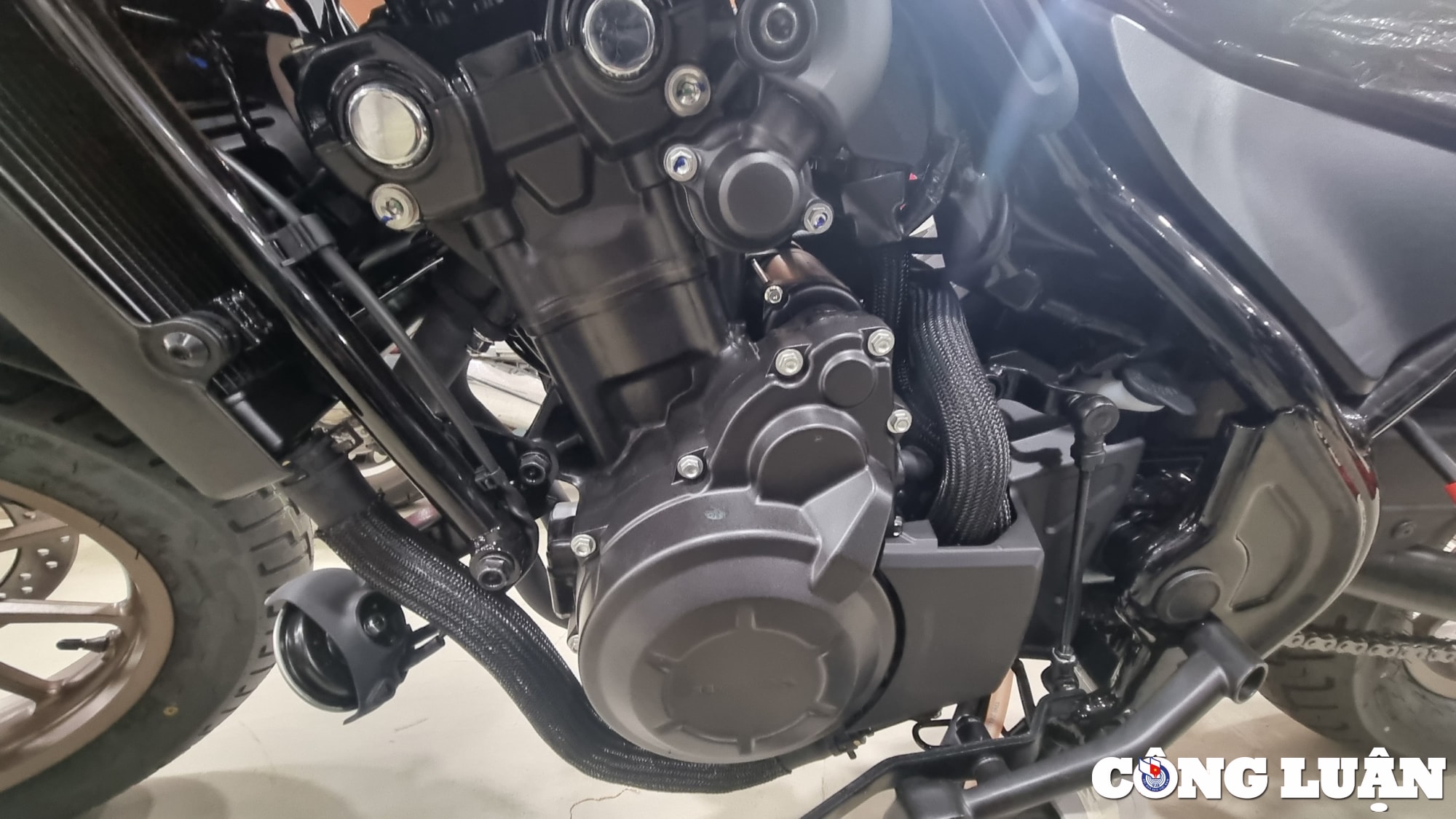 chi tiet mau xe honda rebel 500 2024 hinh 5