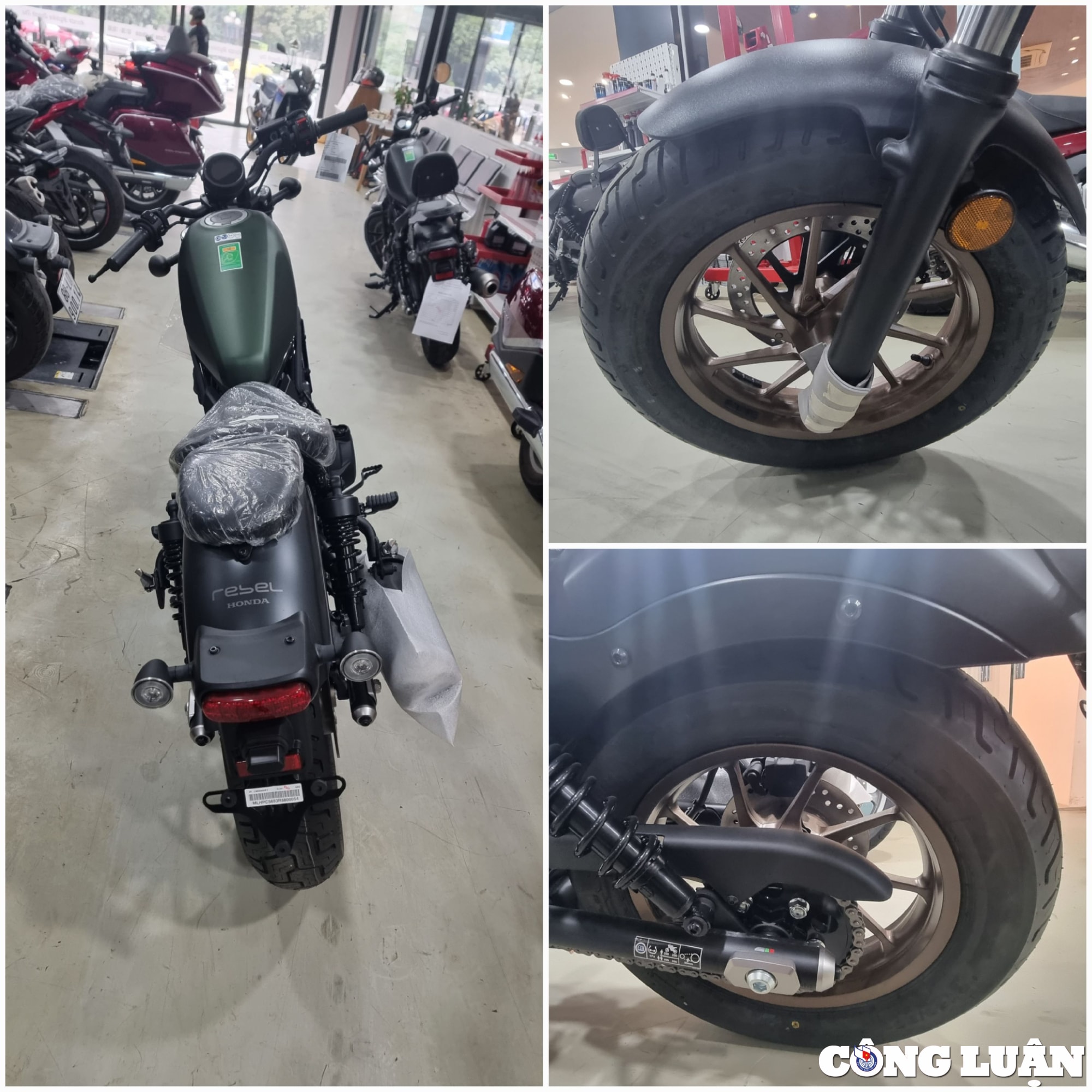 chi tiet mau xe honda rebel 500 2024 hinh 6