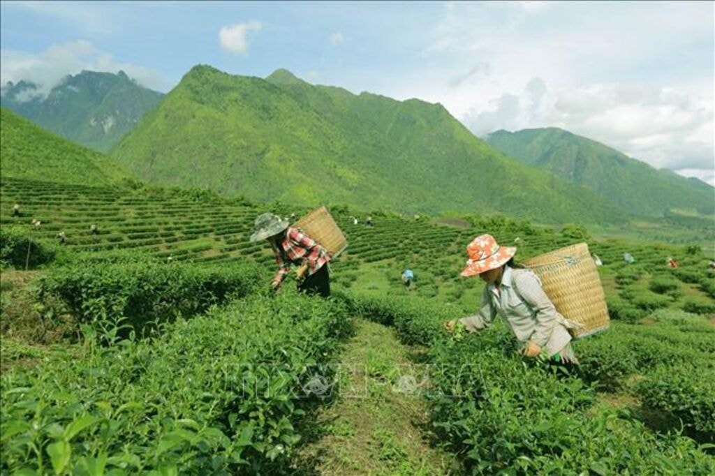 nghi quyet ve mot so chinh sach dac thu thuc hien cac chuong trinh muc tieu quoc gia hinh 1