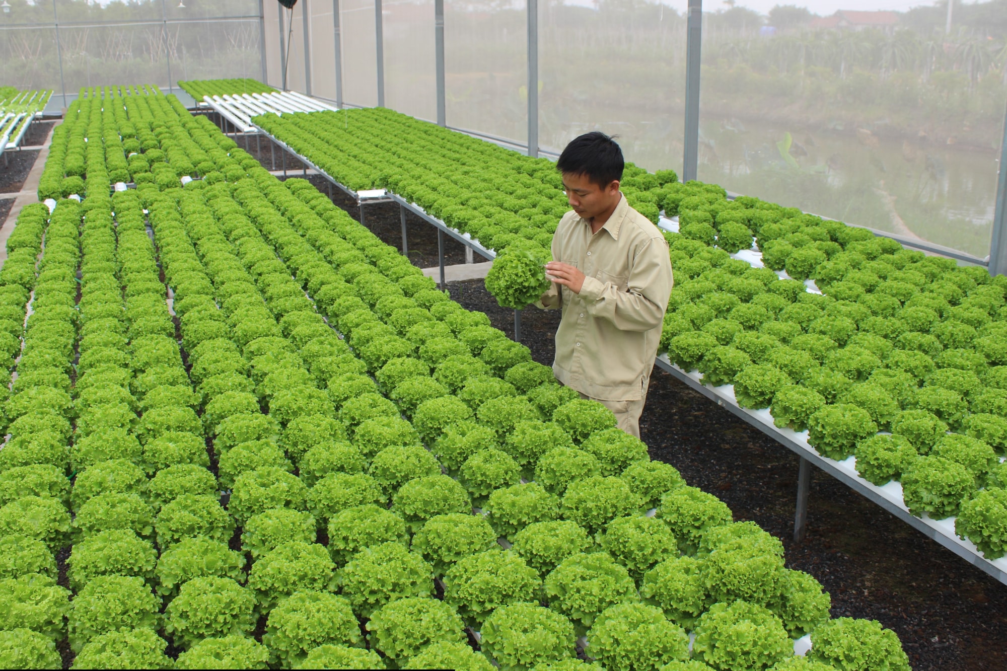 viet nam co ten trong top 10 cac nuoc thu hut dau tu xanh hinh 1