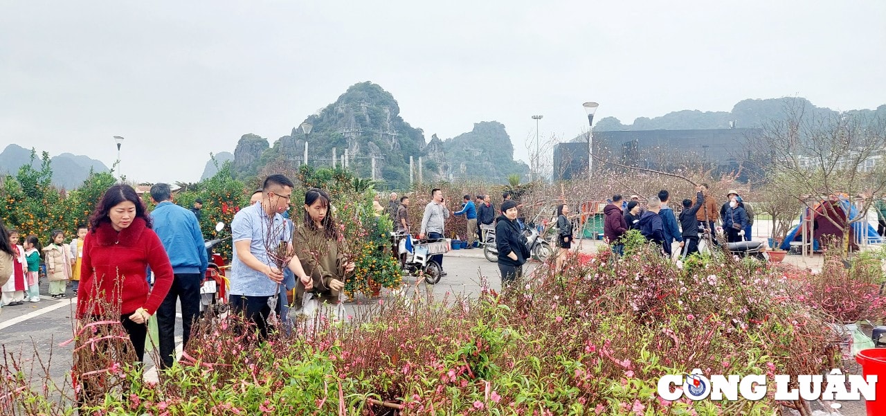 quang ninh cho hoa xuan ha long nhon nhip ngay cuoi nam hinh 2