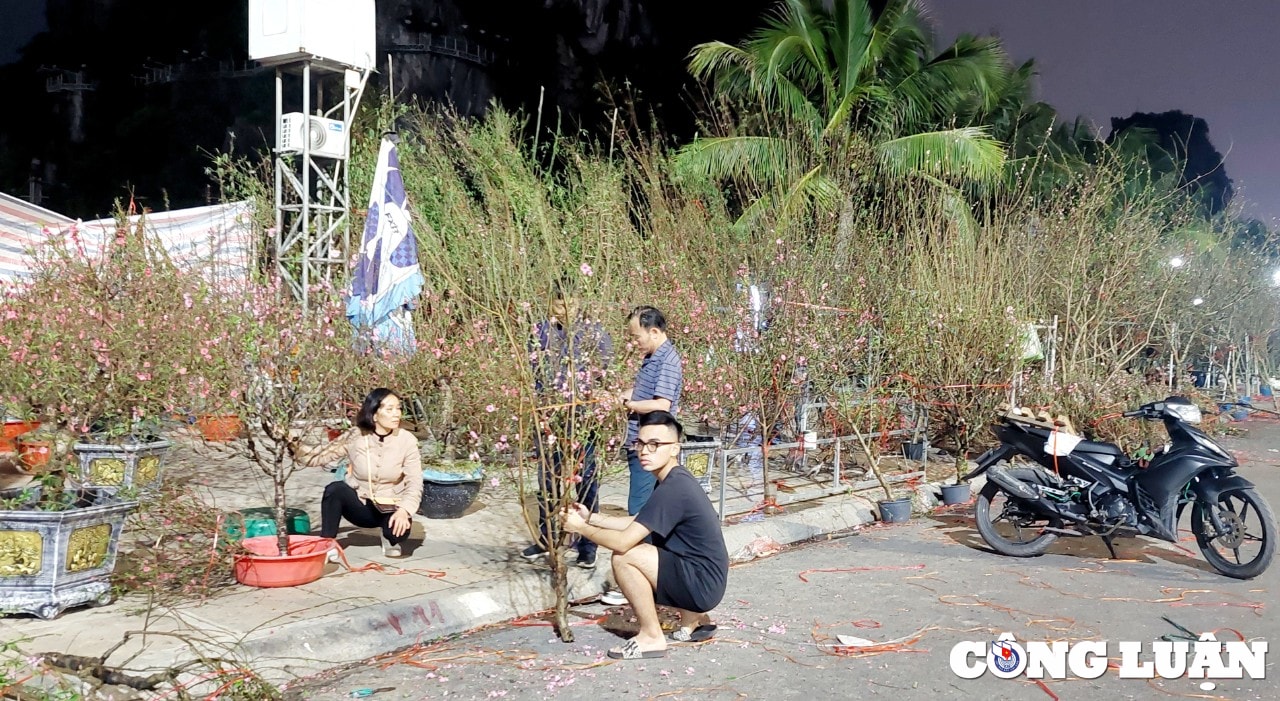 quang ninh cho hoa xuan ha long nhon nhip ngay cuoi nam hinh 3