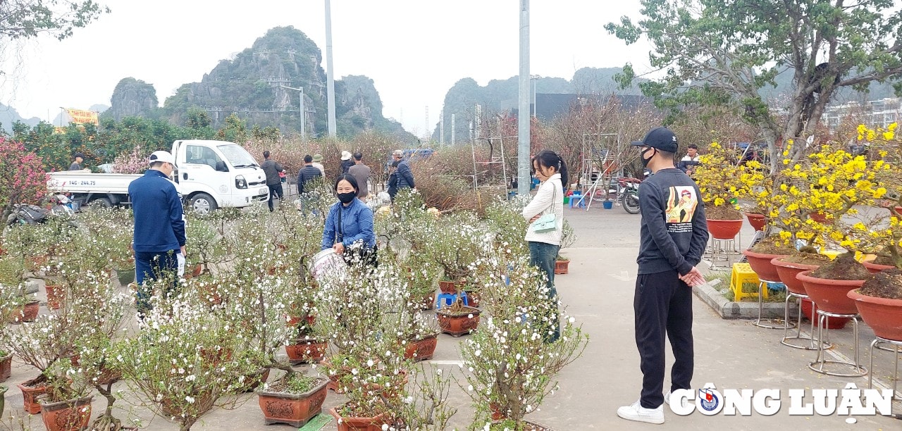 quang ninh cho hoa xuan ha long nhon nhip ngay cuoi nam hinh 7