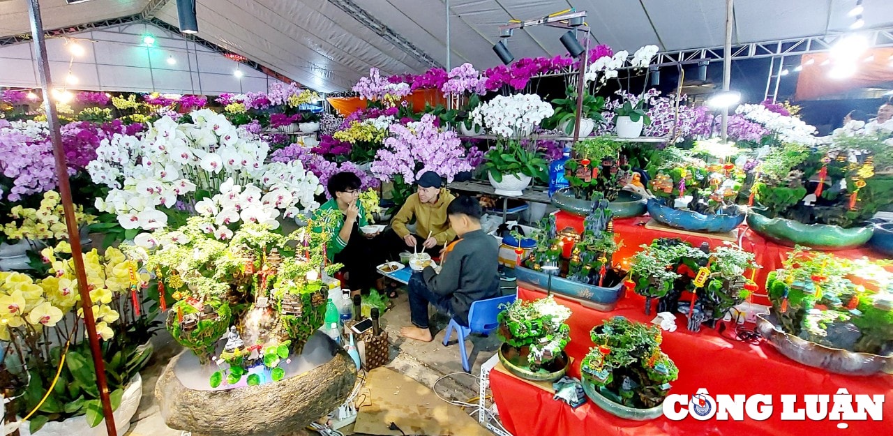 quang ninh cho hoa xuan ha long nhon nhip ngay cuoi nam hinh 8