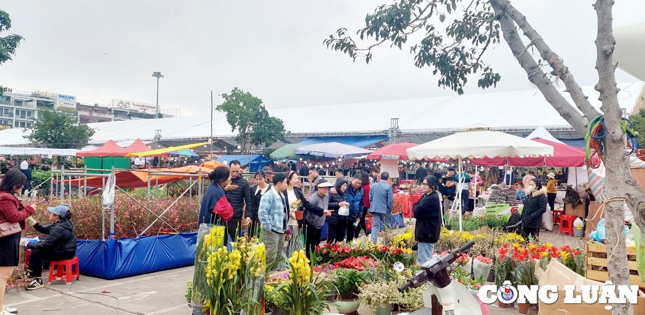 quang ninh cho hoa xuan ha long nhon nhip ngay cuoi nam hinh 9