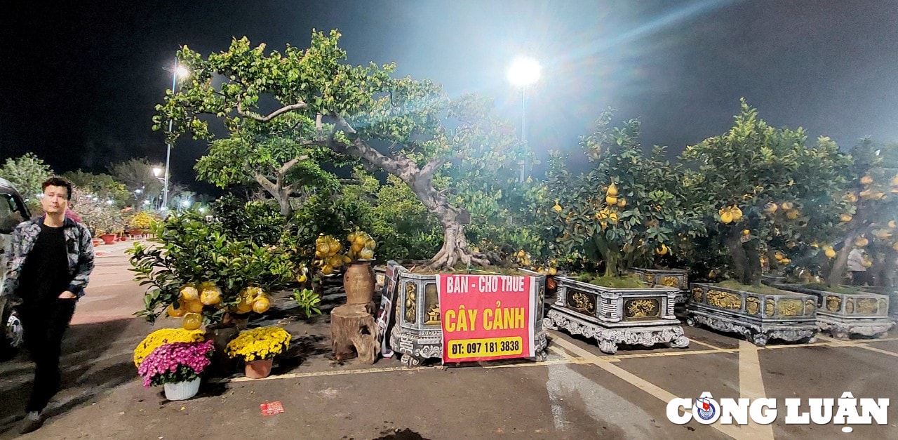 quang ninh cho hoa xuan ha long nhon nhip ngay cuoi nam hinh 10