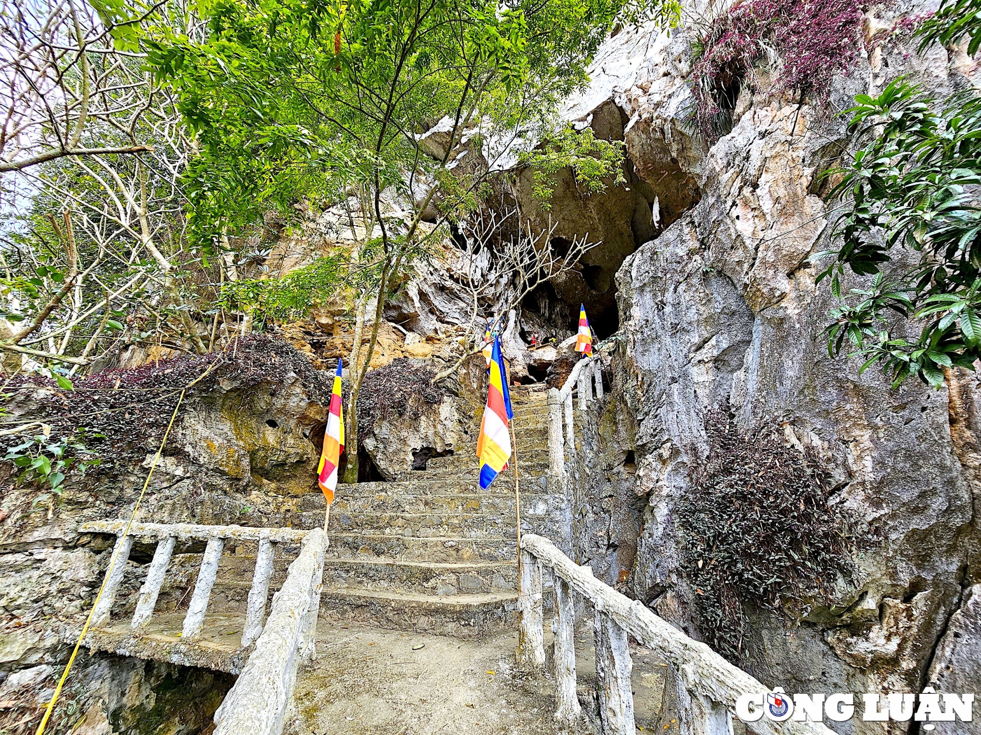 nam rong ghe tham chua rong hinh 1