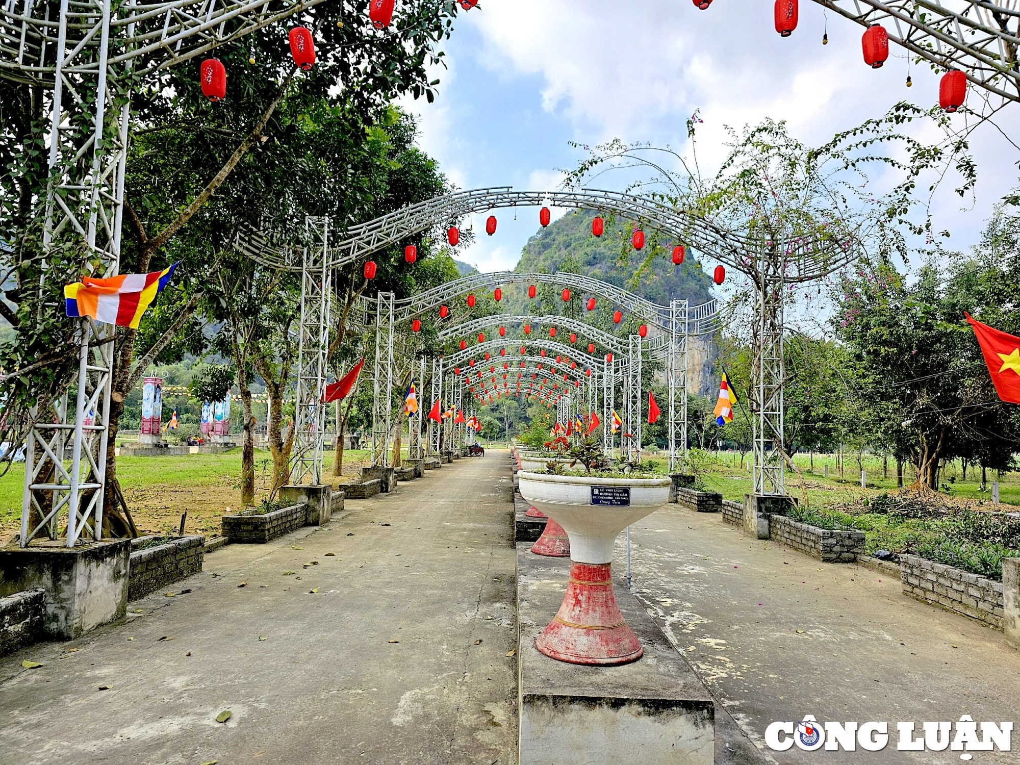 nam rong ghe tham chua rong hinh 6