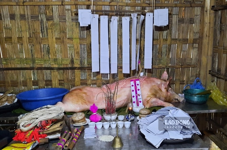 doc dao le cau mua cua nguoi dao do o khai trung hinh 2