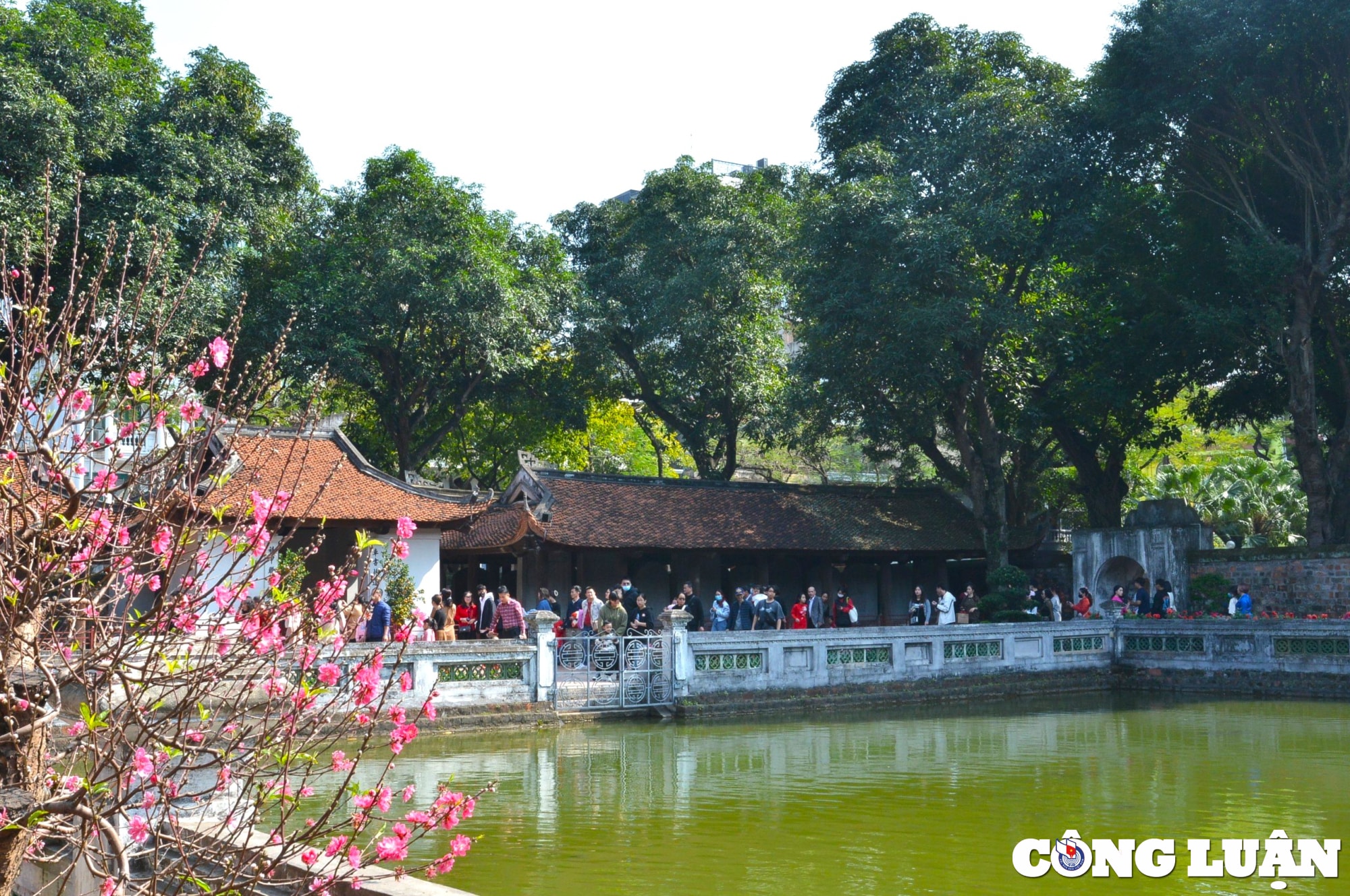 du khach ve van mieu quoc tu giam thuong lam 80 tac pham rong doc dao hinh 9