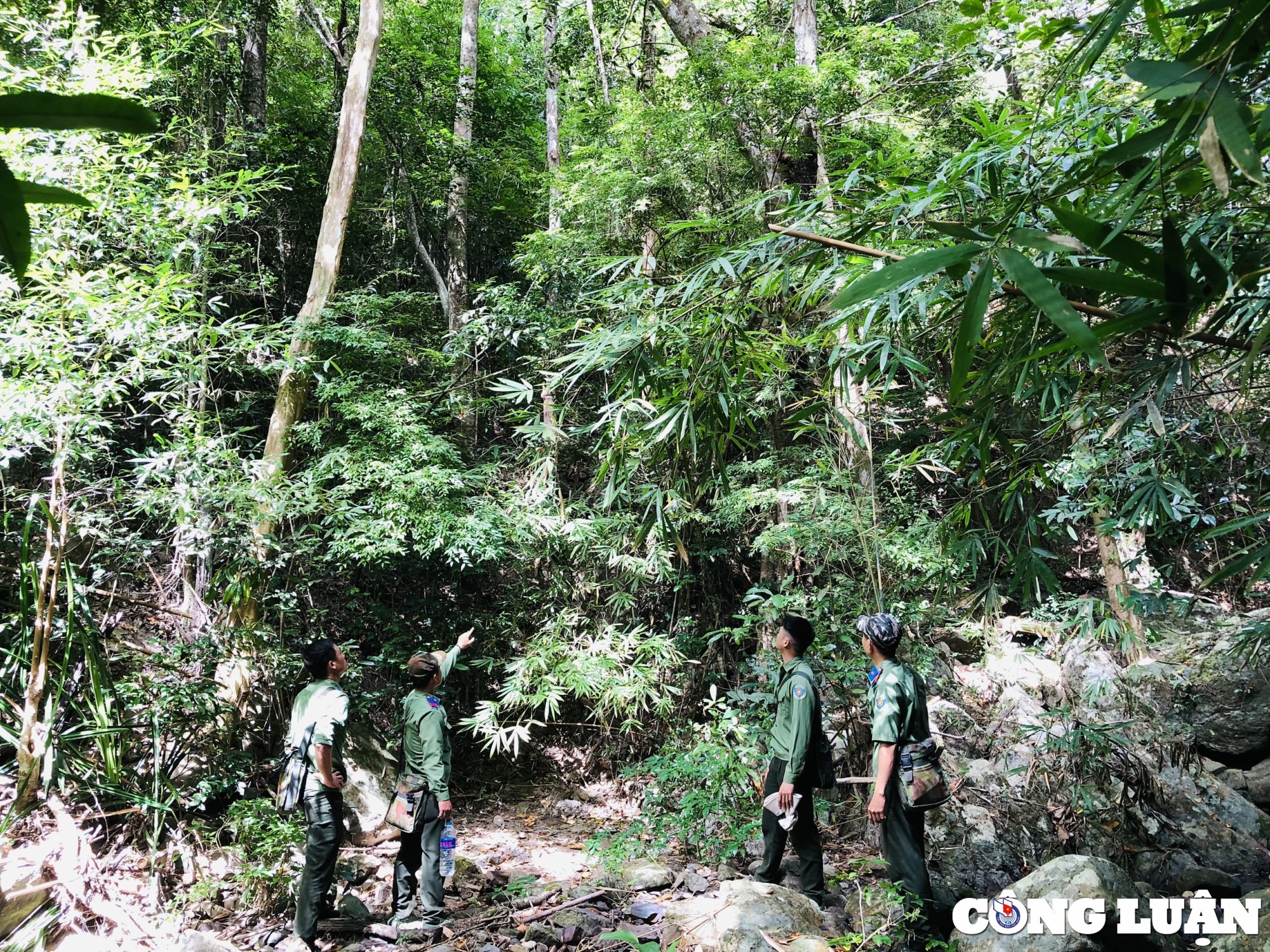 tet cua nhung nguoi linh gac rung o gia lai hinh 8