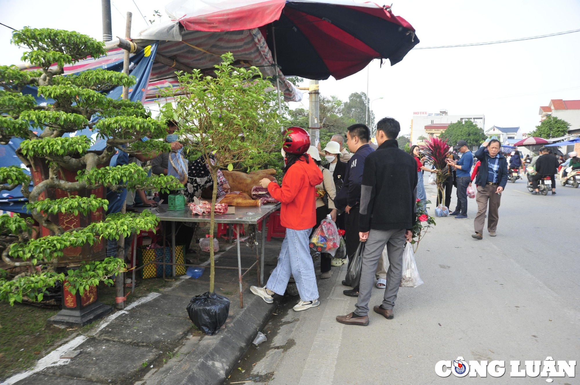 du khach nuom nuop keo ve cho vieng tham quan mua sam dau xuan hinh 13