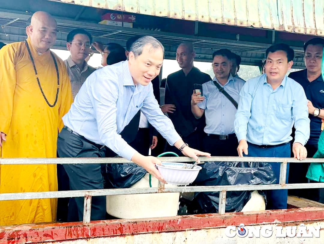 tha ca giong tai tao nguon loi thuy san tai ho ke go hinh 3