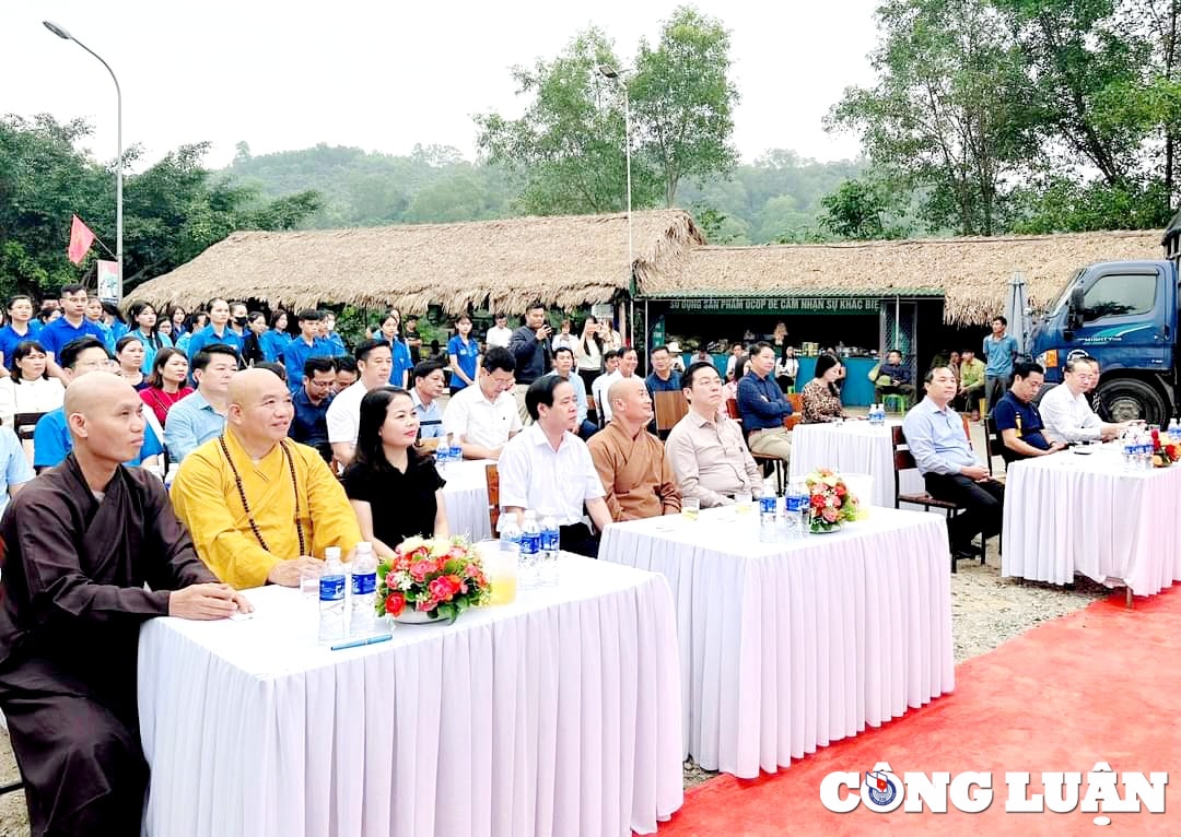 tha ca giong tai tao nguon loi thuy san tai ho ke go hinh 1