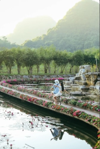 ghe tham khu du lich sinh thai thung nham xu so cua cac loai chim tai ninh binh hinh 7