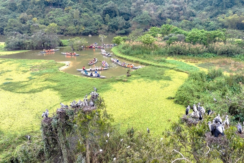 ghe tham khu du lich sinh thai thung nham xu so cua cac loai chim tai ninh binh hinh 2