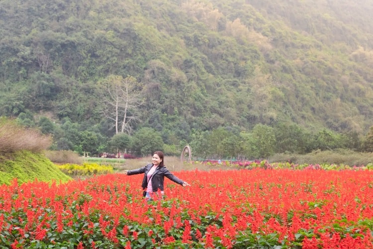 lac vao vuon dia dang tran gian tai noi dat lanh chim dau thung nham hinh 5