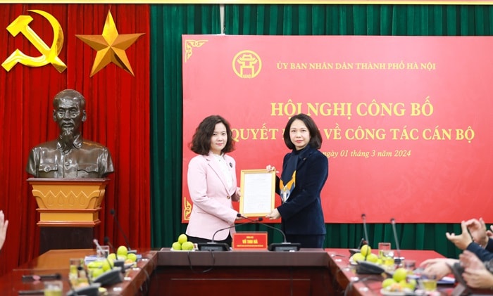 ha noi bo nhiem pho giam doc so van hoa va the thao hinh 1