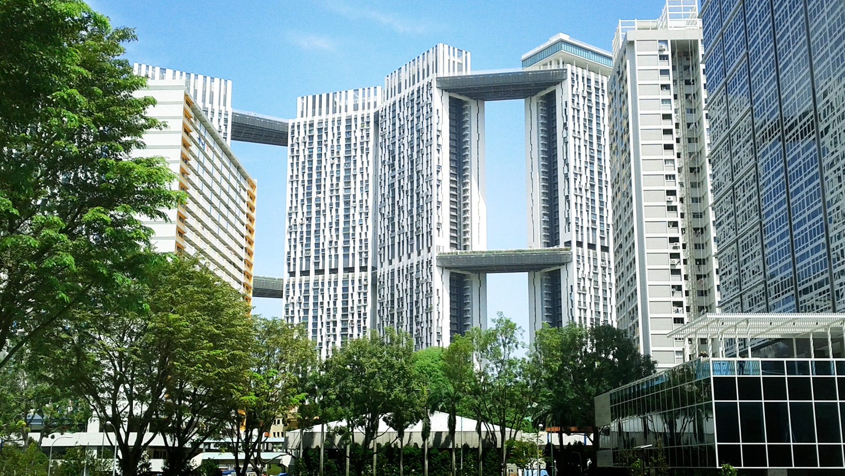 nhu cau thue can ho dich vu se tang tro lai trong nam 2024 hinh 1